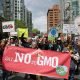 7th International March Against Monsanto May 19th